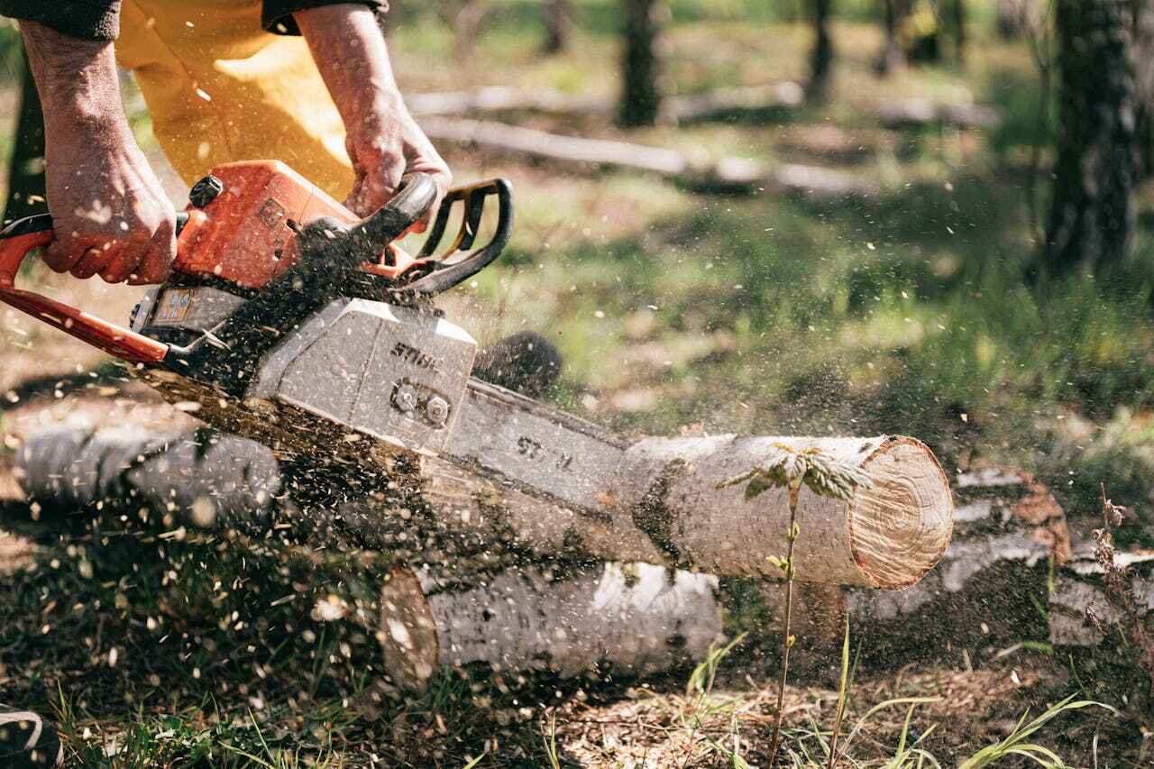 Custom Tree Pruning for Optimal Growth
